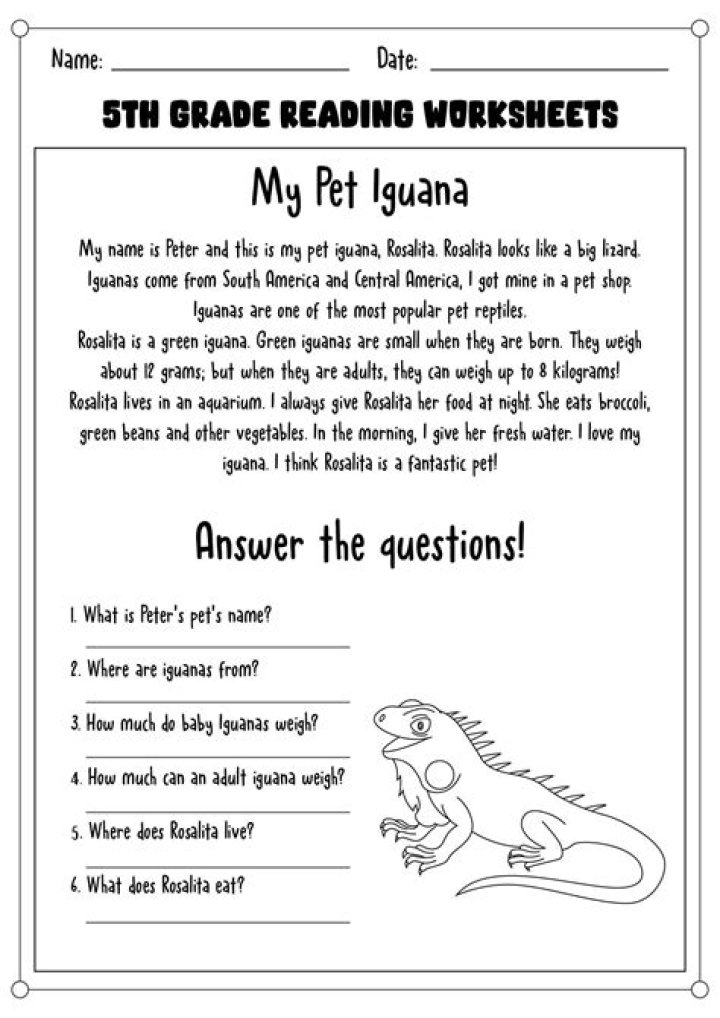 5th Grade Reading Test with Answer Key PDF – Instant Download