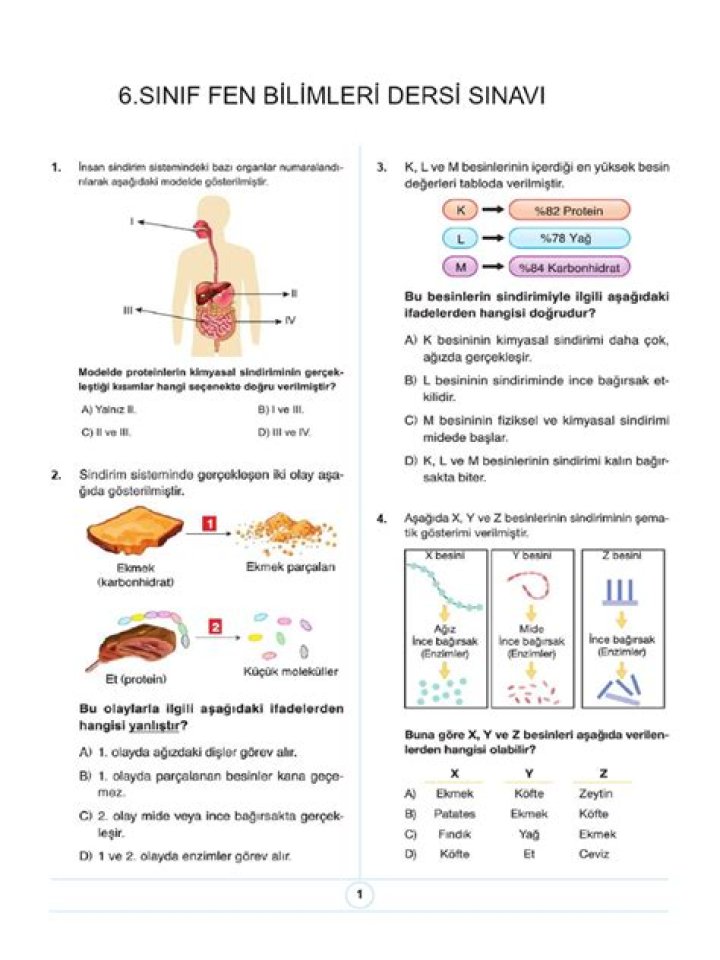 6 Sınıf Sindirim Sistemi Test PDF - Üstün Sınıf Test Doğru