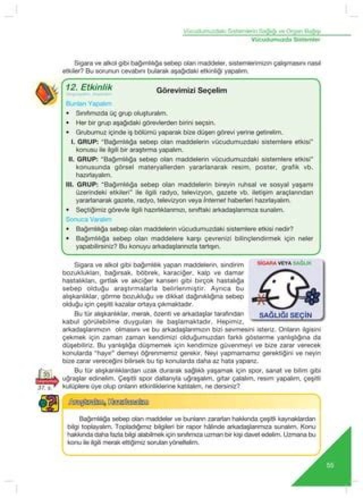 6. Sınıf Ağı Sistemi Testi PDF – İhtiyaçlarınız Çözende