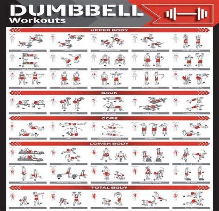 6-Week Dumbbell Workout Plan PDF – Build Strength Fast
