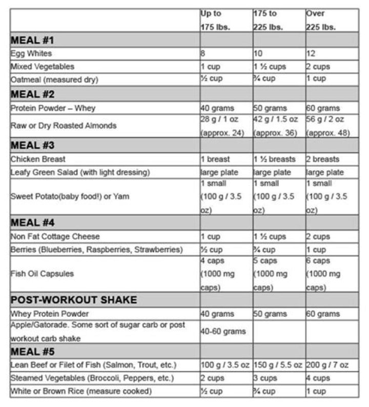 6 Week Shred Diet Plan PDF: Shed Fat Fast with Proven Workouts & Meal Guide