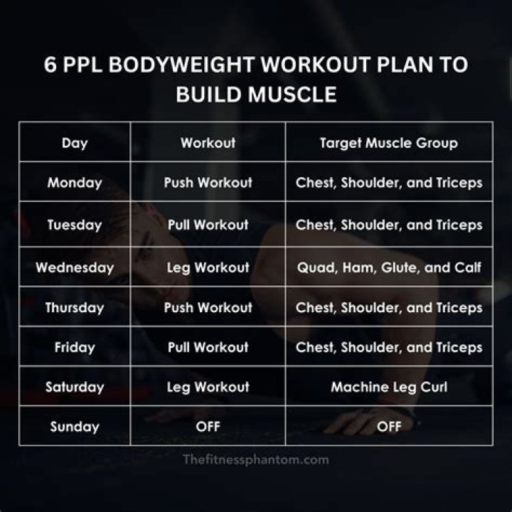 Free 6-Week Workout Plan PDF for Instant Results