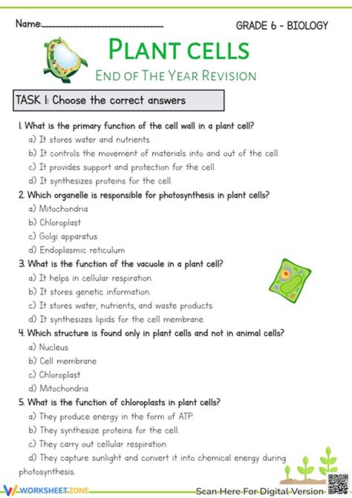 Free 6th Grade Cell Test PDF – Practice & Prepare