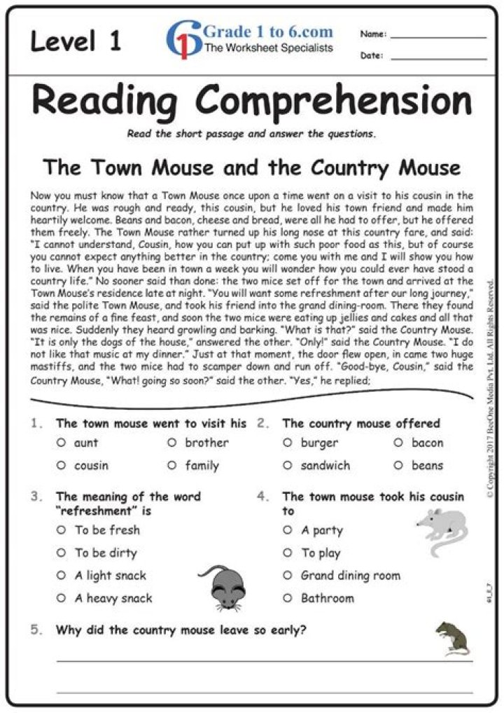 Free 6th Grade Comprehension Worksheets PDF – Instant Download