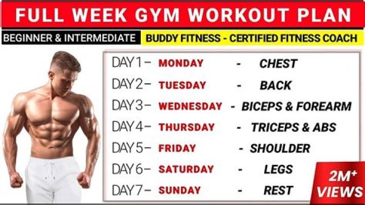 7-Day Gym Workout Plan PDF – Download Full Fitness Routine