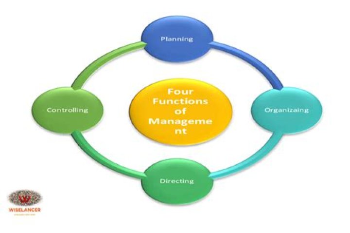 7 Functions of Management PDF: Master Every Aspect of Leadership