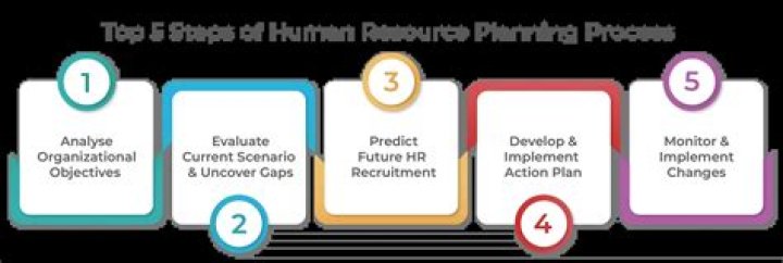 7 Steps of Human Resource Planning PDF – Expert Guide