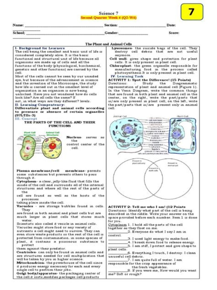 7th Grade Cell Test PDF – Free Practice Tests & Study Guides
