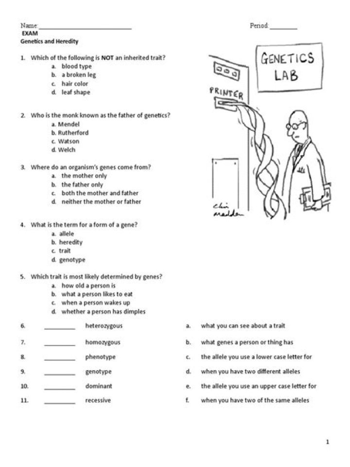 Free 7th Grade Genetics Test PDF for Practice & Study