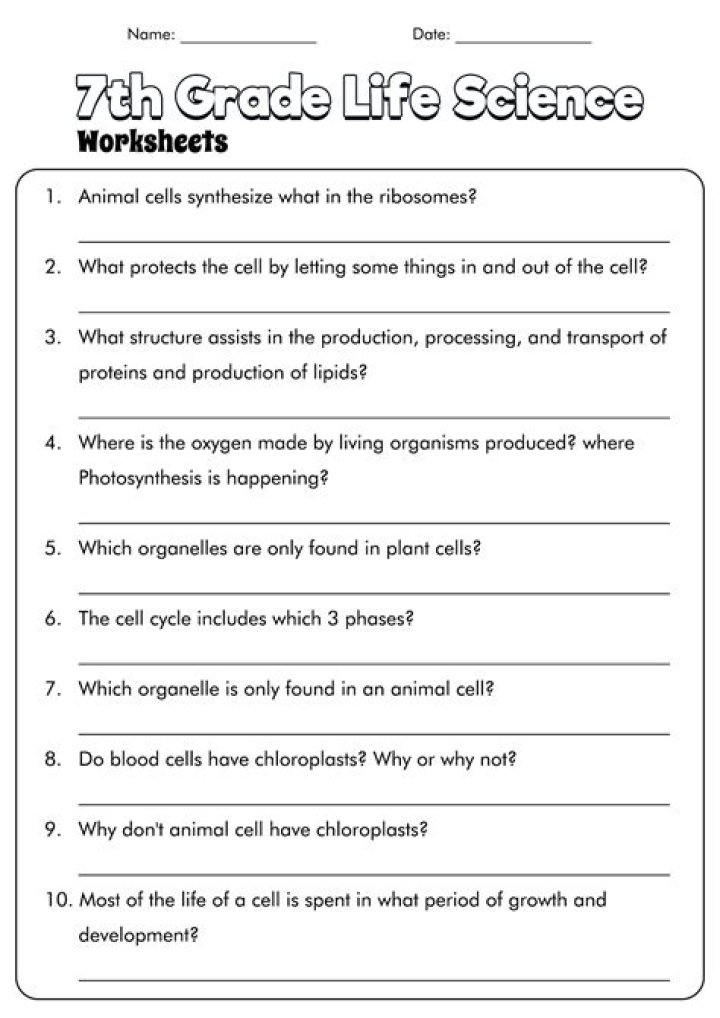 7th Grade Life Science Worksheets PDF for Free Download