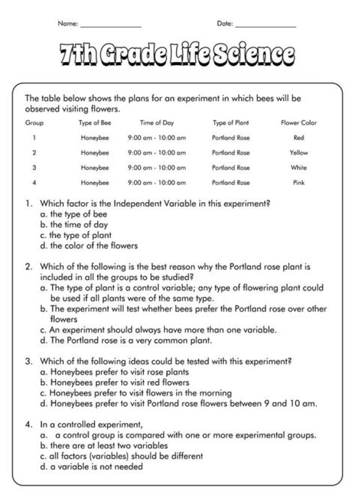 7th Grade Science Test PDF – Practice & Prepare Effectively