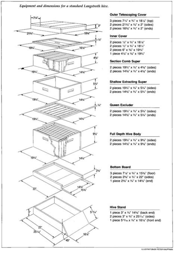 8-Frame Langstroth Beehive Plans PDF – Full Construction & Assembly Guide