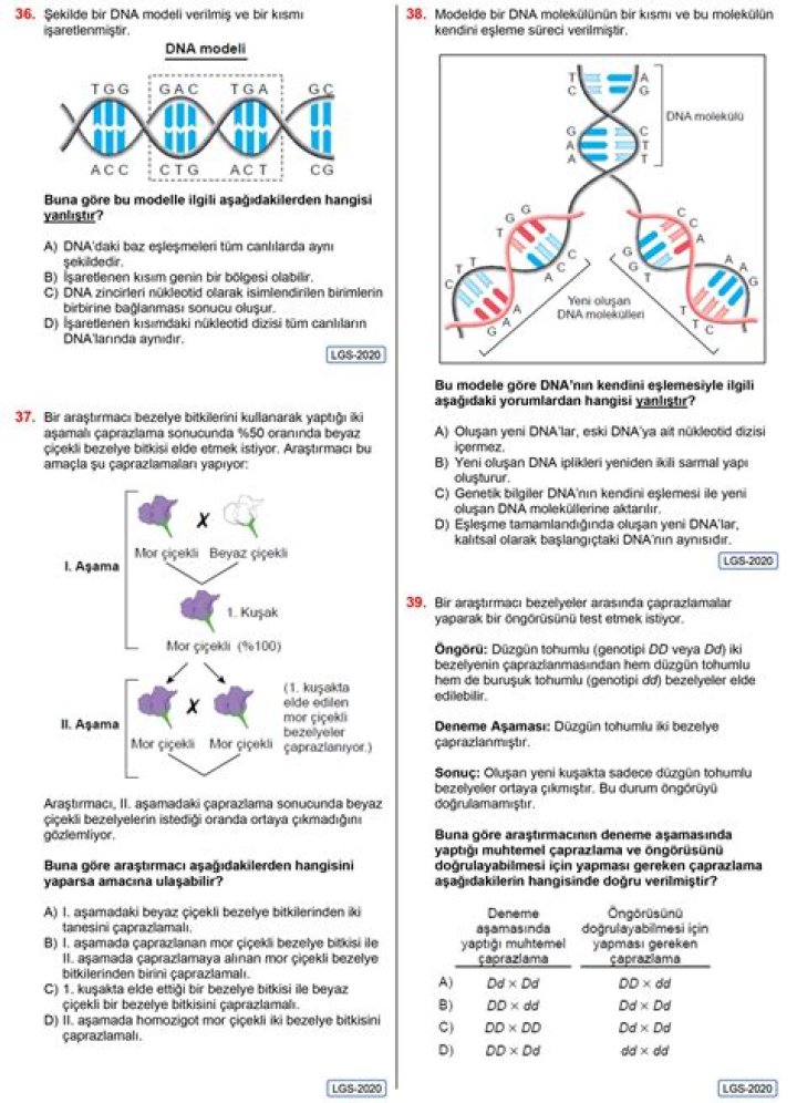 8.sÄ±nÄ±f DNA ve Genetik Kod Test PDF – Yeni Bilimsel Ekran Testi