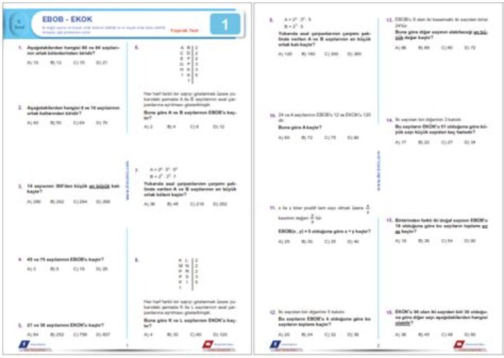 8 Sınıf Ölasılık Test PDF Dersimis – Yüksek Skoru Garanti