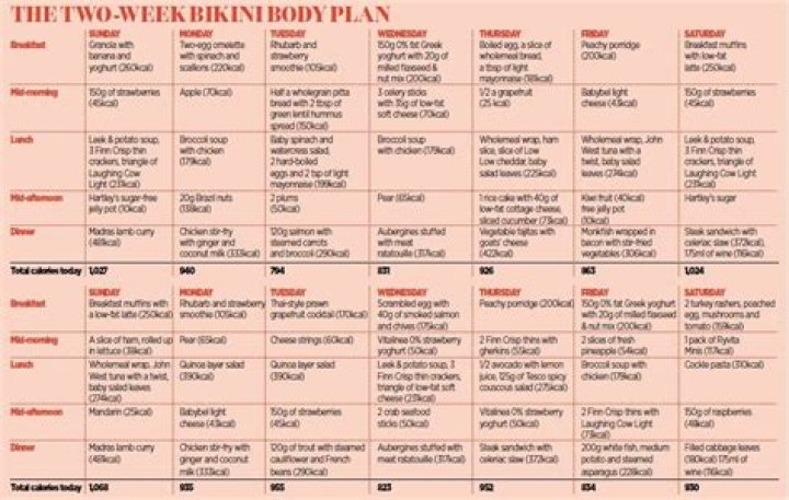8-Week Bikini Body Diet Plan PDF: Slim Fast & Toned in Just 8 Weeks