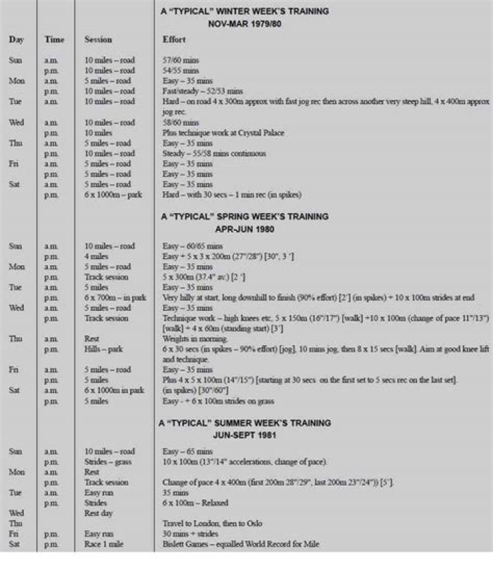 800m Training Plan PDF – Boost Speed & Endurance