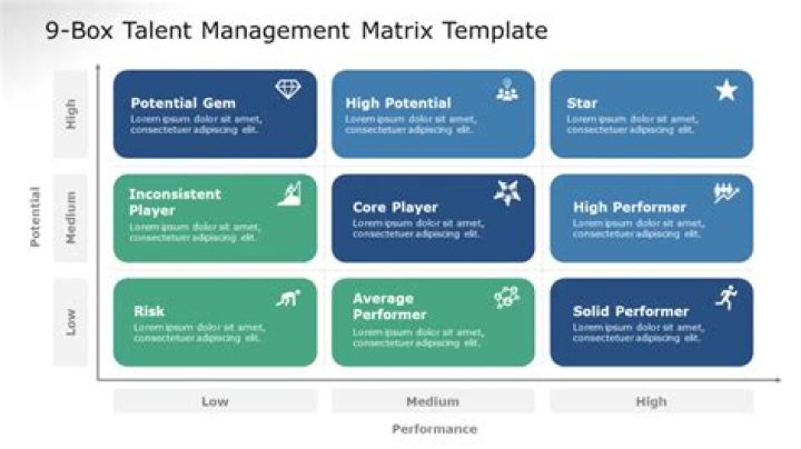 9 Box Grid Talent Management PDF: Master Team Optimization & Performance
