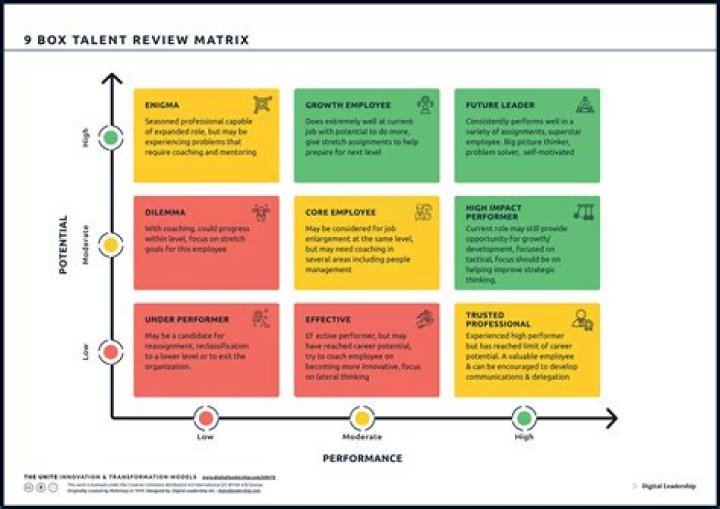 9-Box Talent Management PDF: Master Comprehensive Workforce Strategy