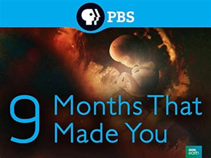 9 Months That Transformed You: A Personal Growth Worksheet PDF