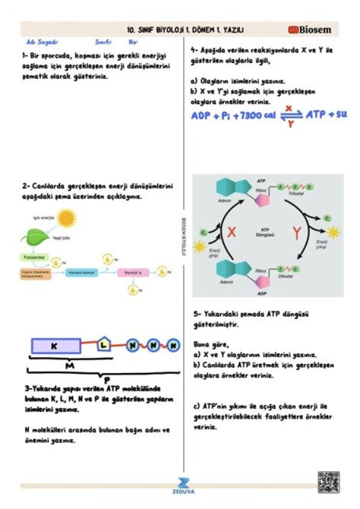 9.sÄ±nÄ±f Biyoloji 1. Ünite Test PDF Cevap Anahtarı