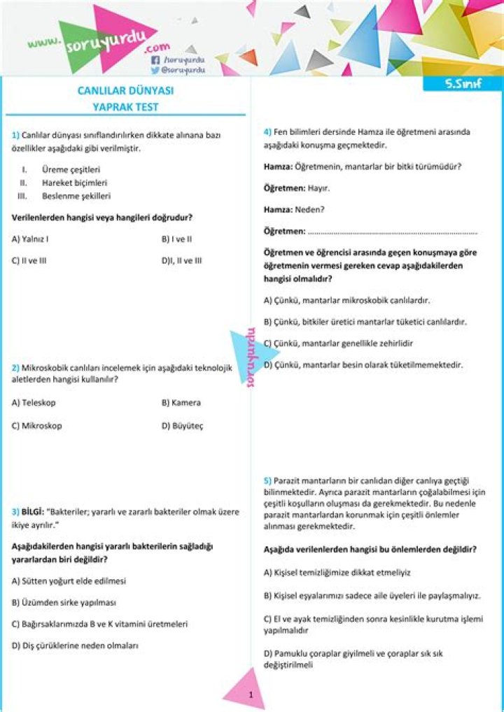 9. SÄ±nıf Yaprak Test PDF – Download Free Exam Papers