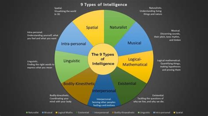9 Types of Intelligence Test PDFs: Complete Guide & Practice Tests