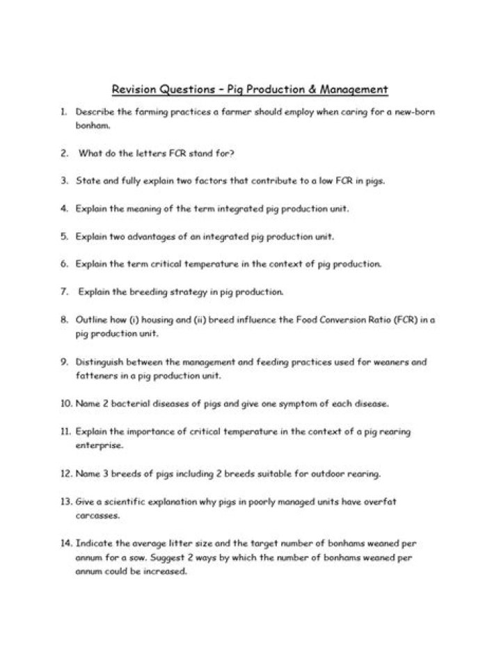 91 Questions PDF Intarwebz Production Guide