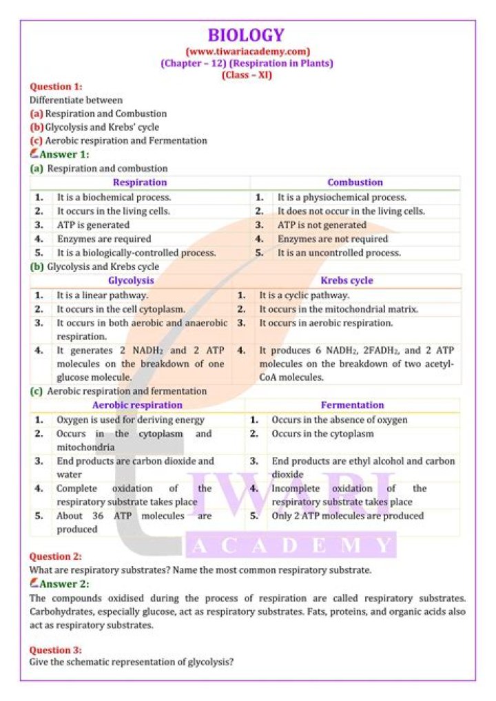 9th Class Biology Chapter 1 Test PDF – Free Practice Questions