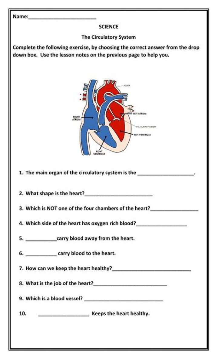 9th Grade Cardiovascular System Test PDF – Practice Exam & Study Guide