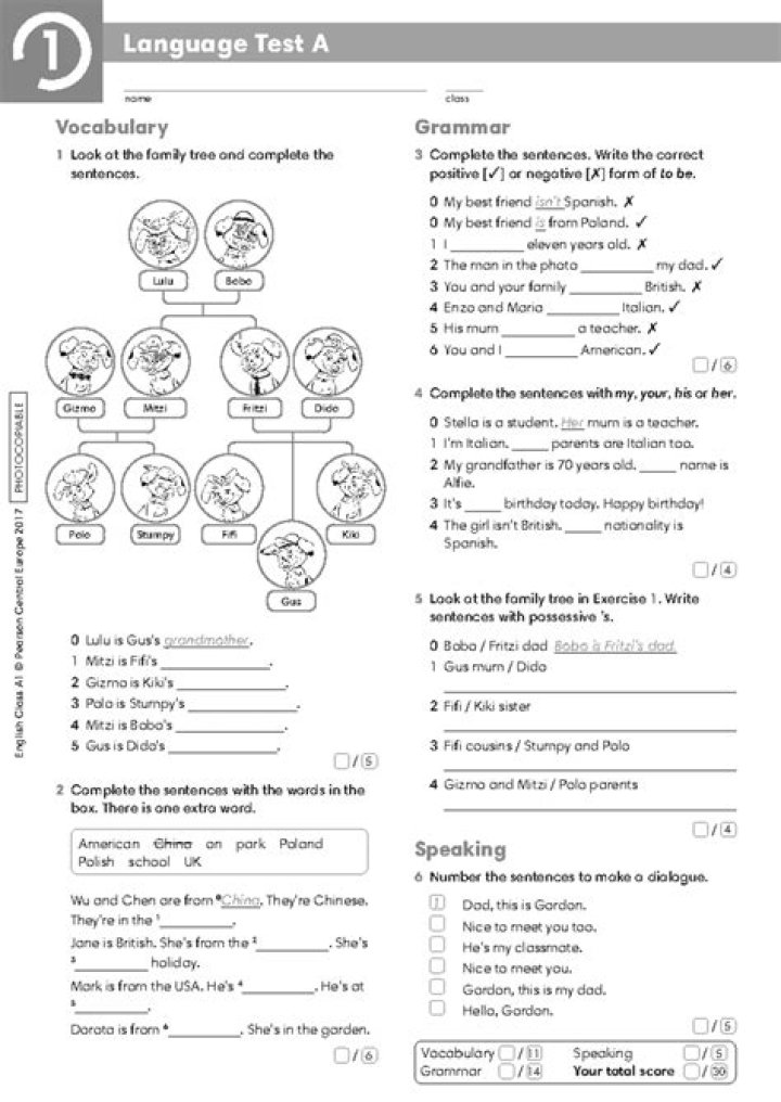 Free A, An, The Test PDF: Master English Articles Easily