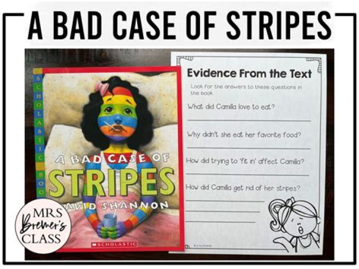 A Bad Case of Stripes Lesson Plan PDF – Engaging Classroom Activity