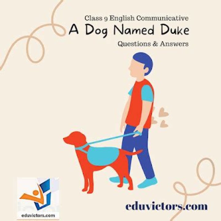 A Dog Named Duke: Questions & Answers PDF Guide