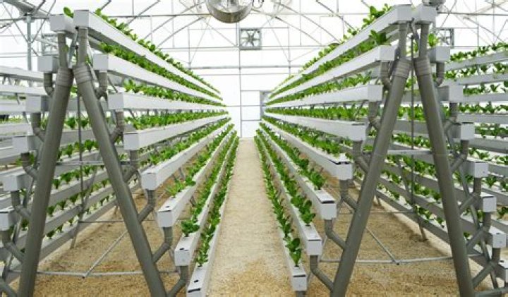 Free Frame Hydroponics Plans PDF for Home Gardeners