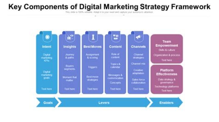 A Framework for Digital Marketing Management: Master Strategy & Execution PDF