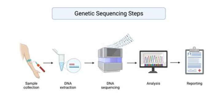 A Functional Approach to Genetic Testing.pdf