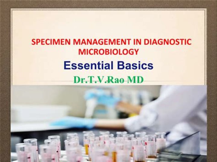 Specimen Management in Clinical Microbiology: A Comprehensive Guide PDF