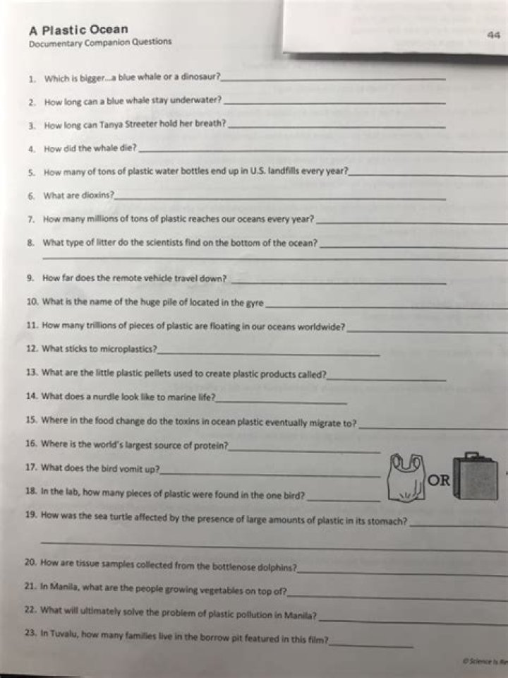 Free Plastic Ocean Worksheet Answers PDF – Teach Environmental Awareness