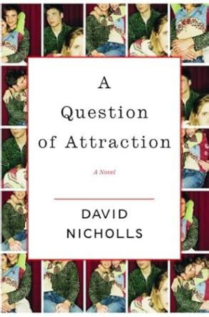 A Question of Attraction: David Nicholls PDF Analysis