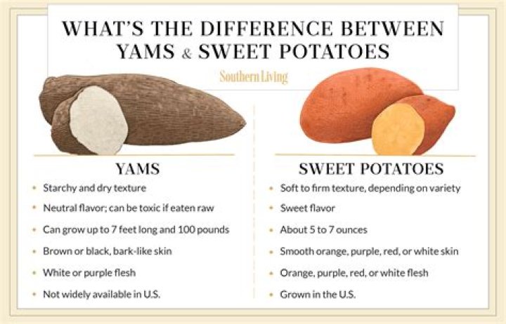 A Question of Yams: The Ultimate PDF Guide