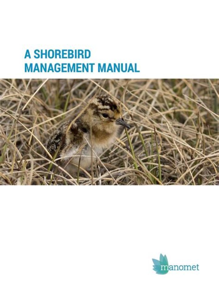 Shorebird Management Manual PDF: Expert Guide for Conservationists