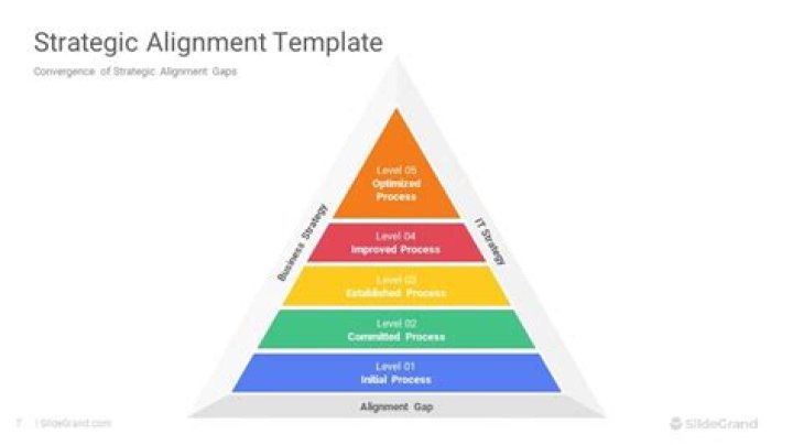 Test Your Company’s Strategic Alignment with This Simple PDF Guide