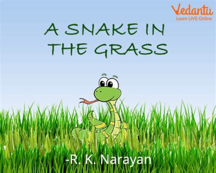 Snake in the Grass: Clever Story & Question Answer PDF