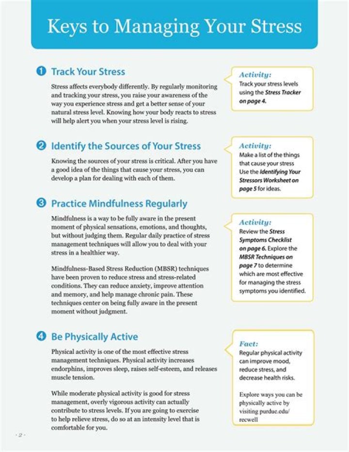 A Student's Guide to Stress Management: PDF Download for Academic Success