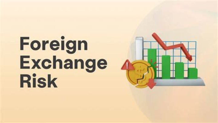 A Study on Foreign Exchange and Effective Risk Management in PDF Format