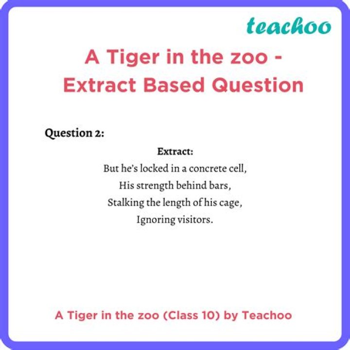 A Tiger in the Zoo: Short Q&A PDF Answer