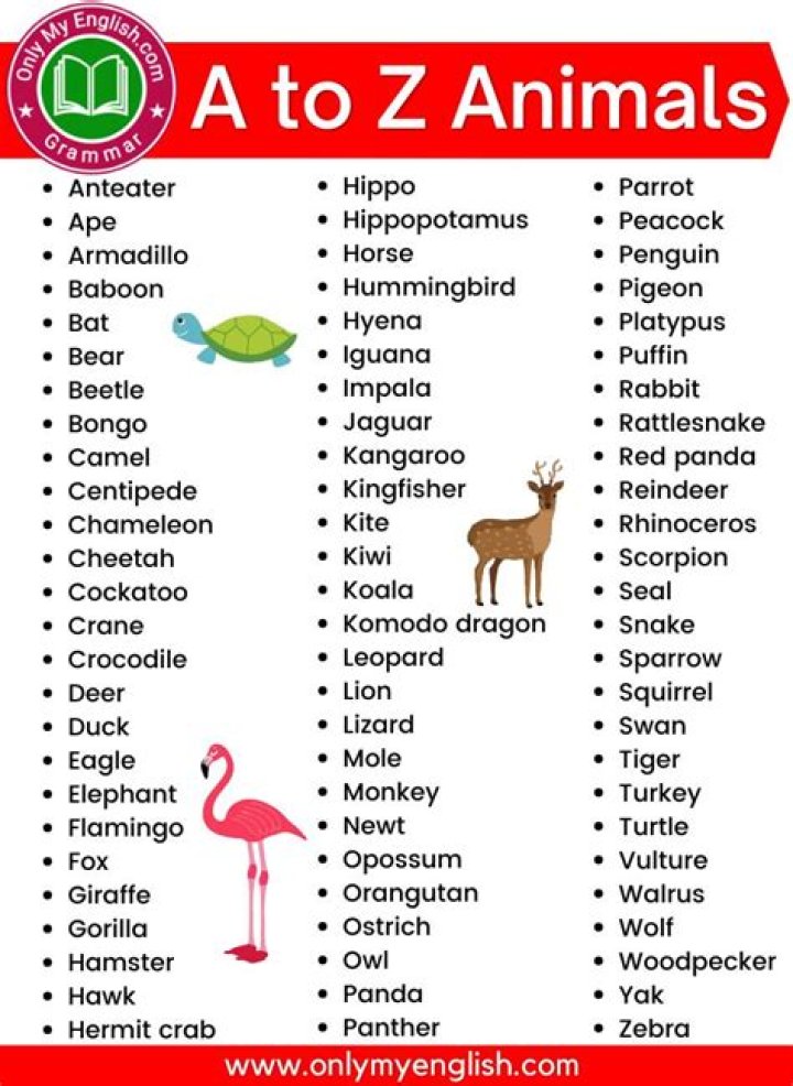 A to Z Animal Name List PDF – Complete Guide to All Creatures