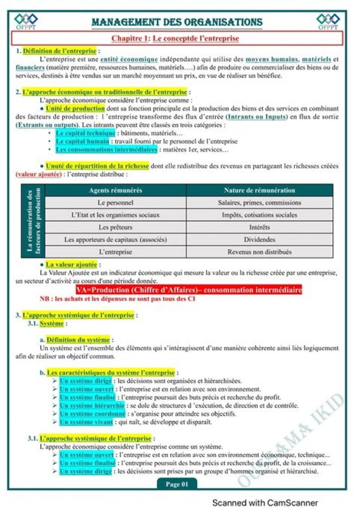 Étude de cas Management des organisations en PDF – Analyse pratique et stratégies claires