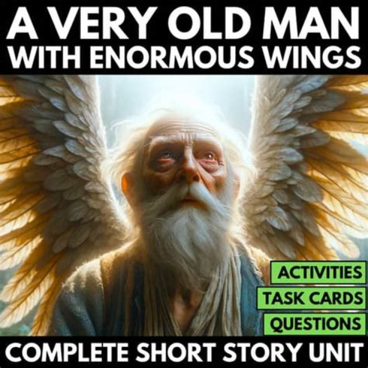 What Do Questions About a Very Old Man with Enormous Wings Mean? Answers & Insights