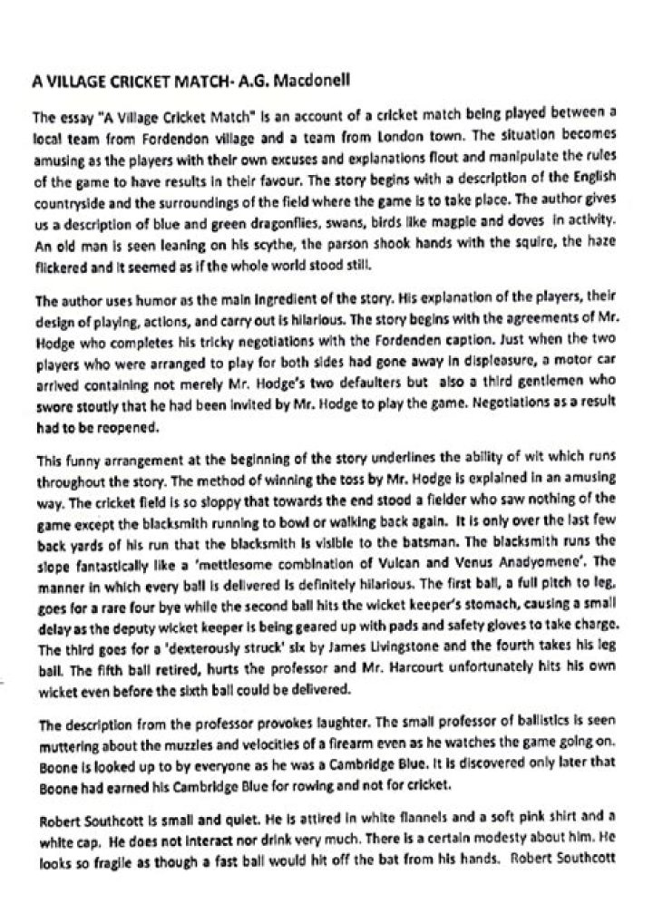 Village Cricket Match Questions & Answers PDF: Perfect Guide
