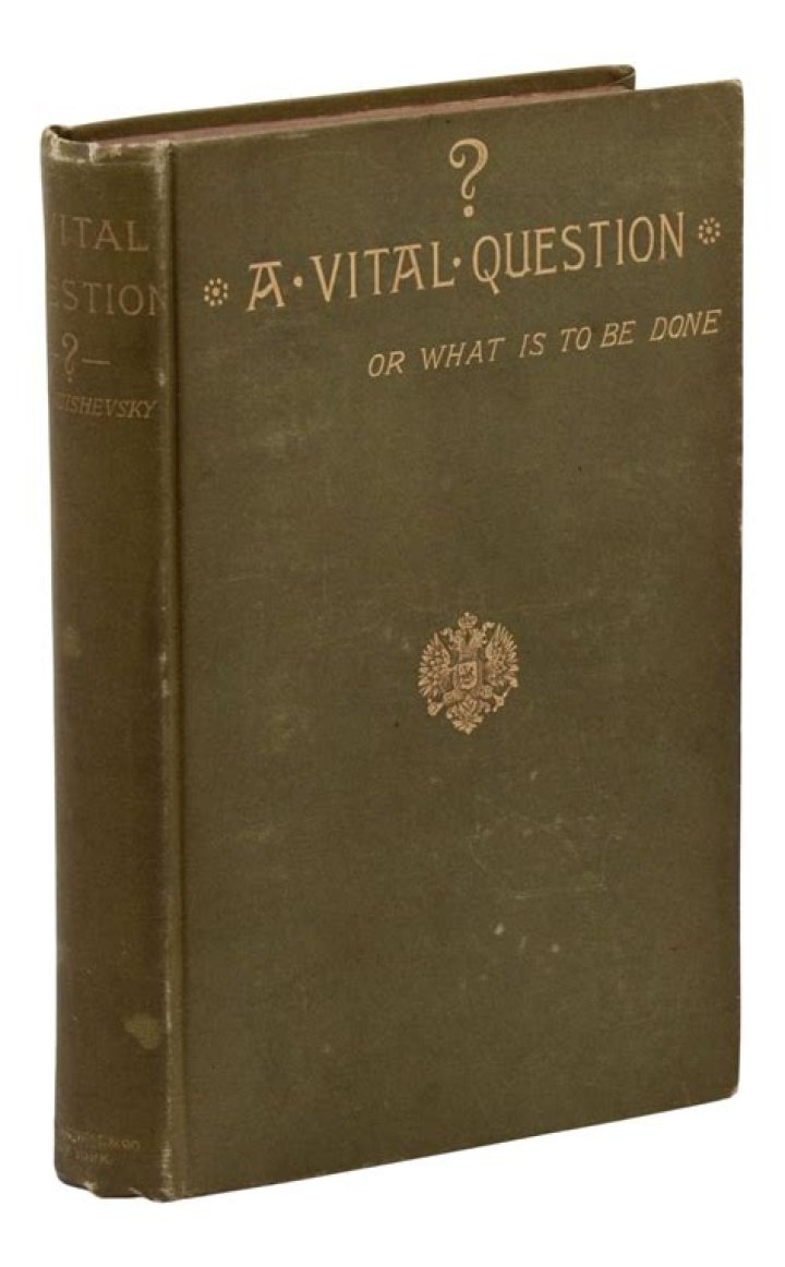 A Vital Question or What to Do Next? PDF Guide